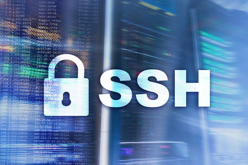 Webhostone: Per SSH-Key mit dem Server verbinden (WSL/Mac/Linux)